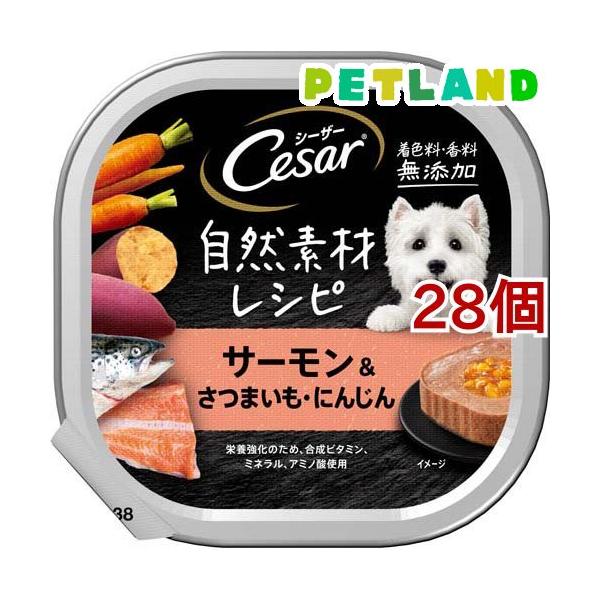 Cesar ドッグフード ウエットフード チキン・サーモン 合計64個セット シーザー 自然素材 成犬用 サーモン＆さつまいも・にんじん 無添加