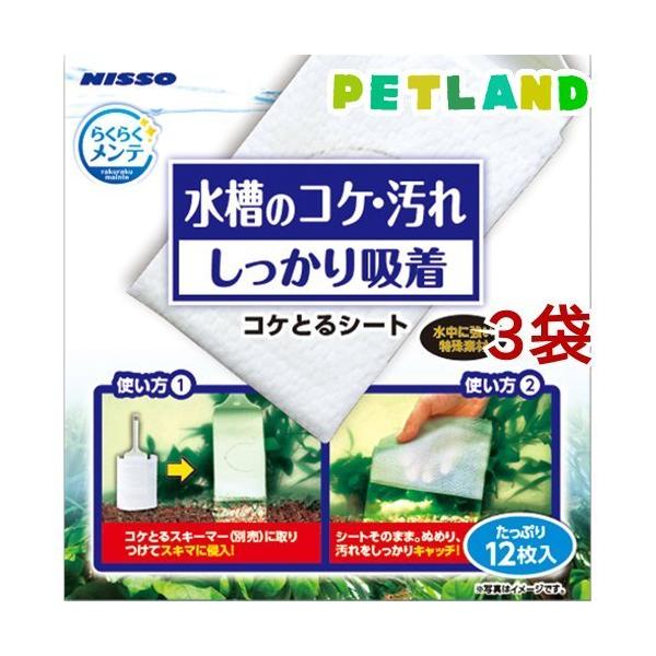 jb\[ 炭炭e RPƂV[g ( 12*3܃Zbg )/ NISSO(jb\[)