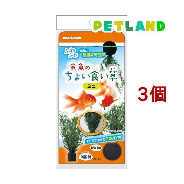 金魚 水槽 セット 水槽用レイアウト用品の人気商品 通販 価格比較 価格 Com