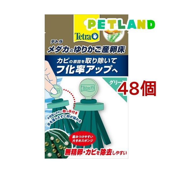 eg _Ĵ肩Y O[ ( 48Zbg )/ Tetra(eg)