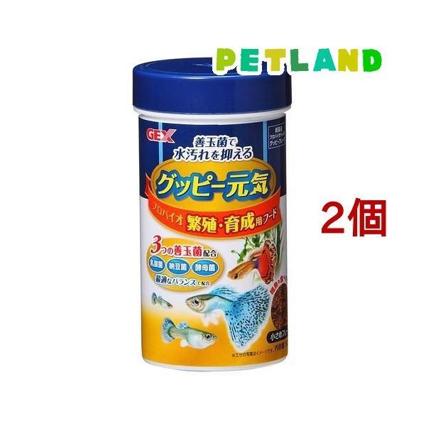 Obs[C voCIɐBE琬pt[h ( 52g*2RZbg )/ GEX(WFbNX)