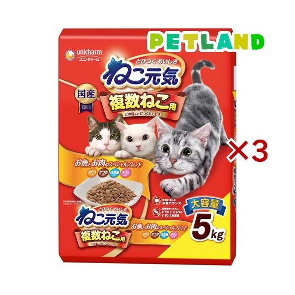 ねこ元気 複数ねこ用 お魚とお肉のスペシャルブレンド ( 5kg×3セット )/ ねこ元気