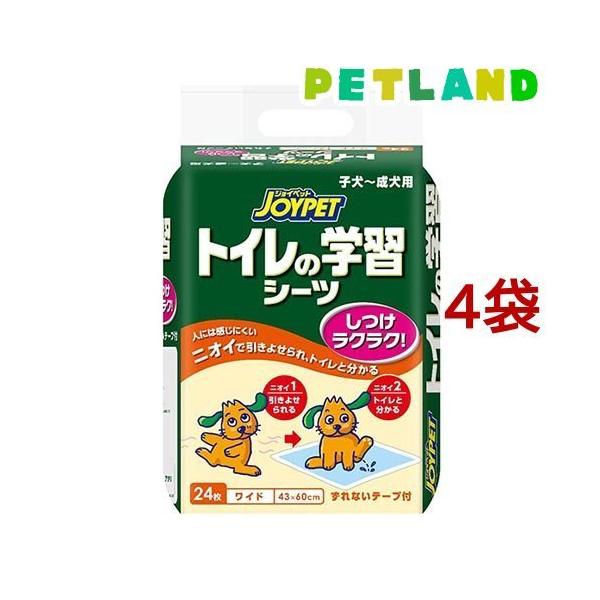 WCybg gC̊wKV[c Ch ( 24*4܃Zbg )/ WCybg(JOYPET)