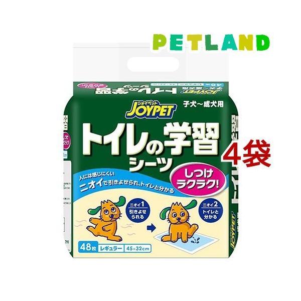 WCybg gC̊wKV[c M[ (  48×4܃Zbg )/ WCybg(JOYPET)