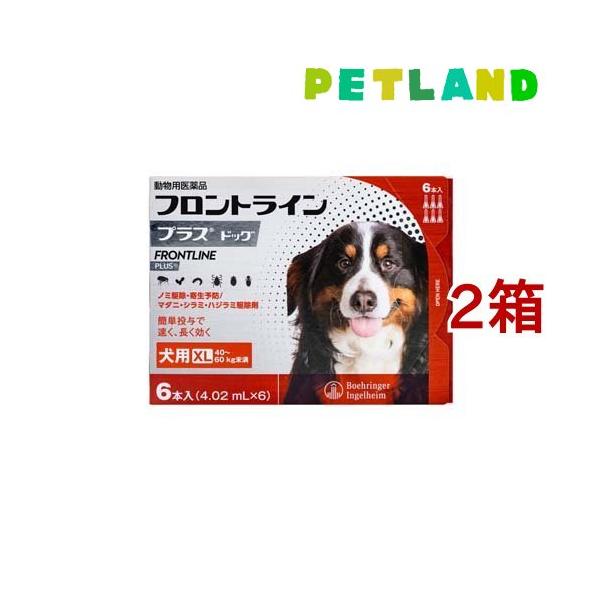 【動物用医薬品】フロントラインプラス 犬用 XL 40〜60kg未満(フロントライン フロントラインプラス frontline fronline ノミ のみ ダニ だに のみ取り ノミ取り のみとり ノミ捕り マダニ 犬 イヌ いぬ ドッグ...