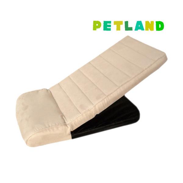 ybgX[v PS-02 AC{[ ( 1R )