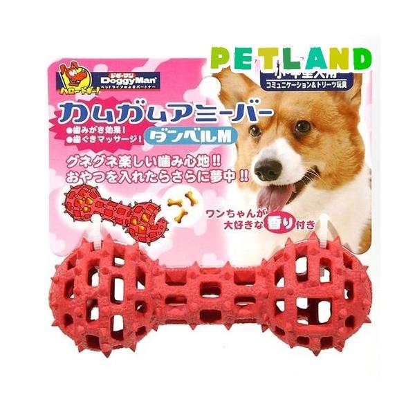 hM[} JKA~[o[ _x MTCY ( 1 )/ A~[o[