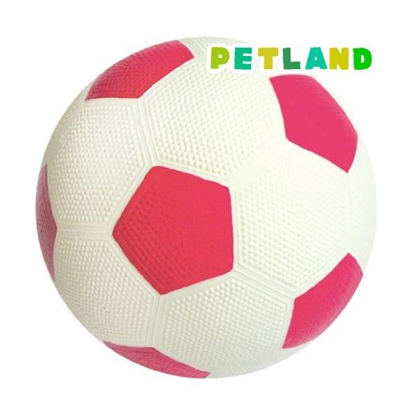 X[p[Lbg TbJ[ sN ( 1R )/ X[p[Lbg