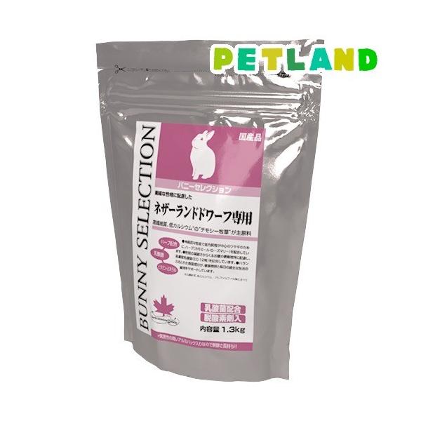 oj[ZNV lU[hh[tp ( 1.3kg )/ ZNV(SELECTION)