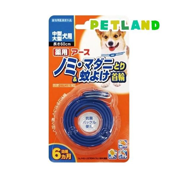 pm~E}_jƂ&amp;悯֒^E^p ( 1{ )