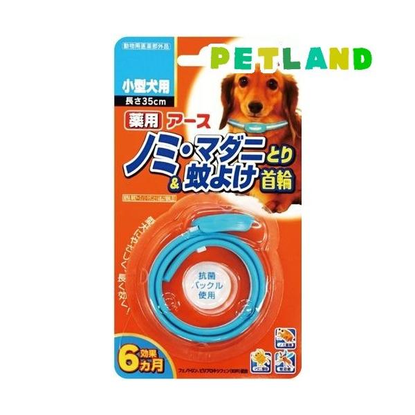 pm~E}_jƂ&amp;悯֏^p ( 1{ )