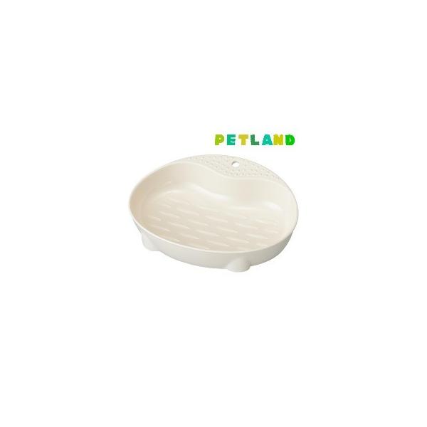 ~[ lRɂ₳H STCY ( 1R )/ ~[(mjuF)