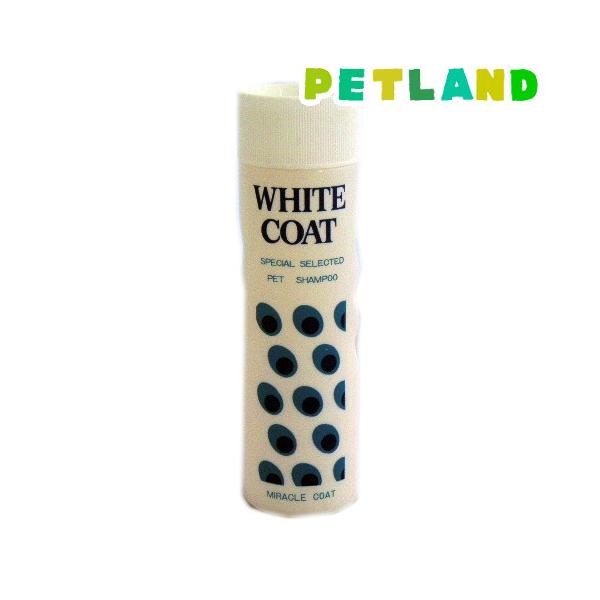 ~N zCgR[gVv[ ( 400ml )/ ~N