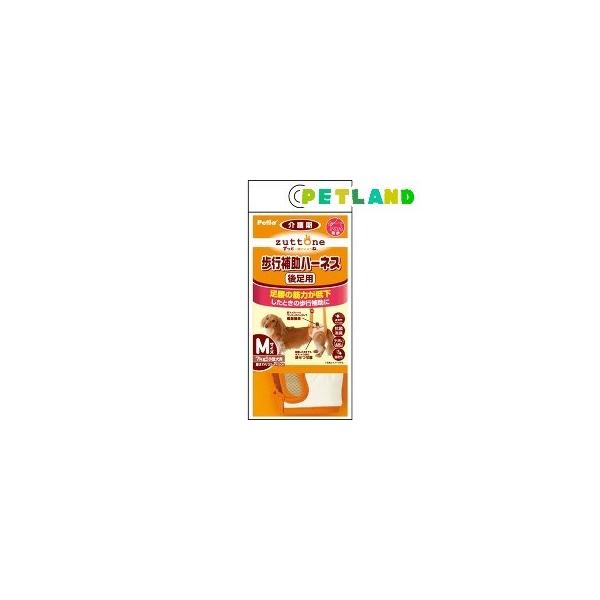 yeBI Ƃ Vp s⏕n[lX 㑫pK ( MTCY*1R )/ yeBI(Petio)