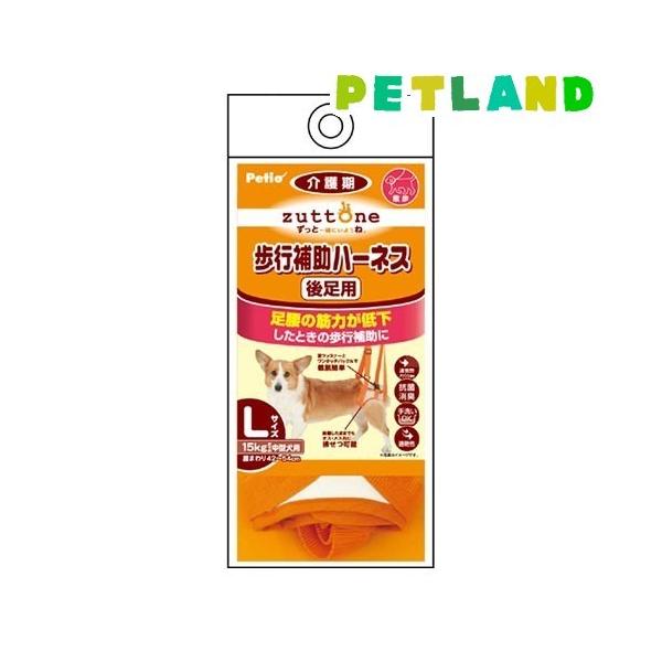 yeBI Ƃ Vp s⏕n[lX 㑫pK ( LTCY*1R )/ yeBI(Petio)