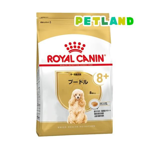 petland_t325366