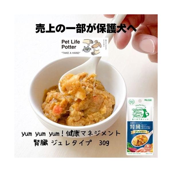 yum yum yum！ヤムヤムヤム 健康マネジメント腎臓 ジュレタイプ 30g 犬用 ドッグフード ウエット 国産 レトルト おやつ 高カロリートッピング チキン