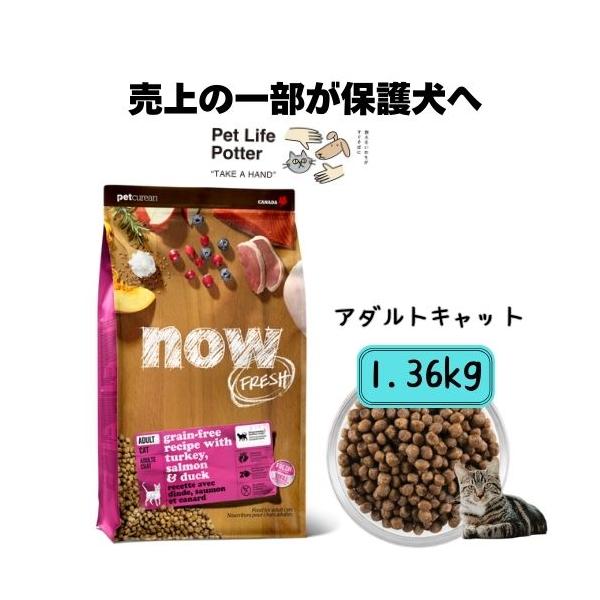 NOW FRESH 【正規品】ナウフレッシュ グレインフリー アダルトキャット
