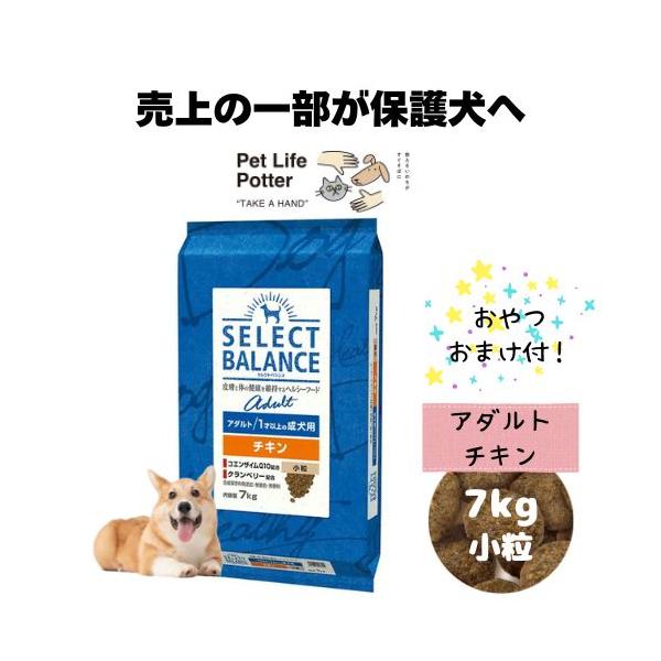 SELECT BALANCE 【おやつおまけ付！】セレクトバランス アダルト