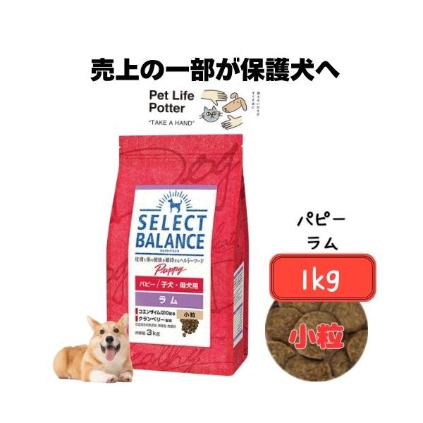 SELECT BALANCE セレクトバランス パピー ラム 小粒(子犬・母犬用）1kg