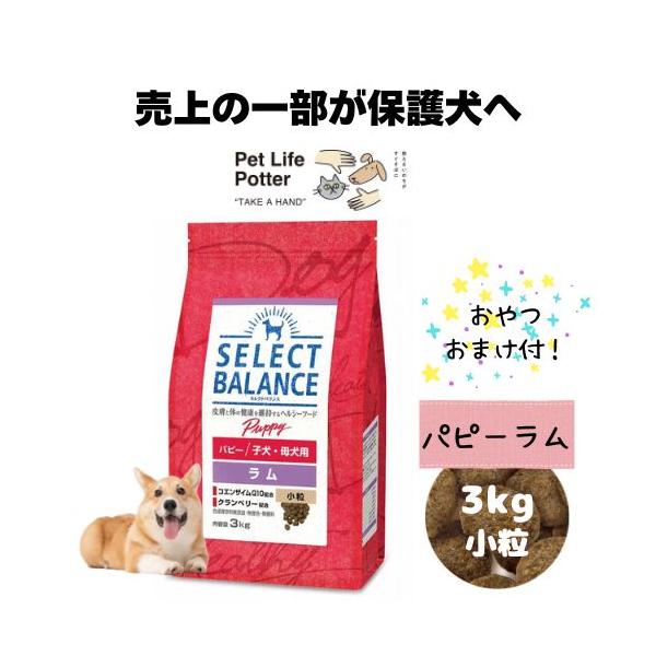 SELECT BALANCE Puppy ドライフード ラム 3kg セレクトバランス パピー ラム小粒3kg