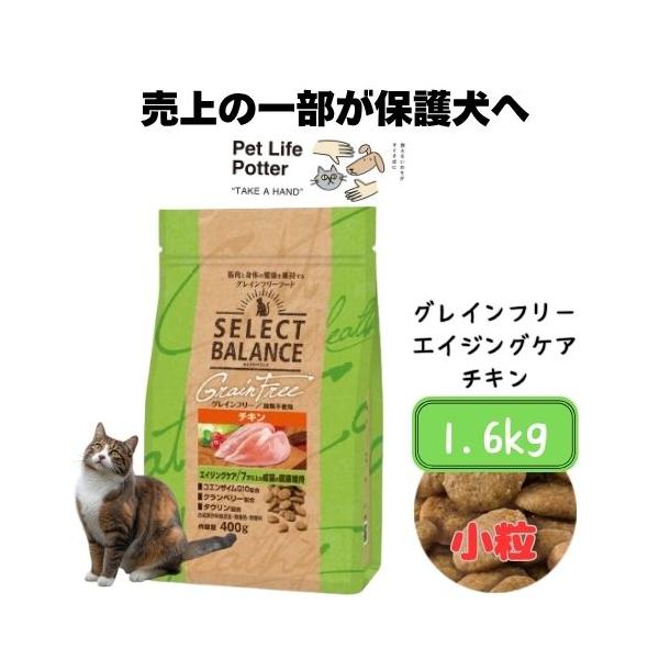 petlifepotter_select042