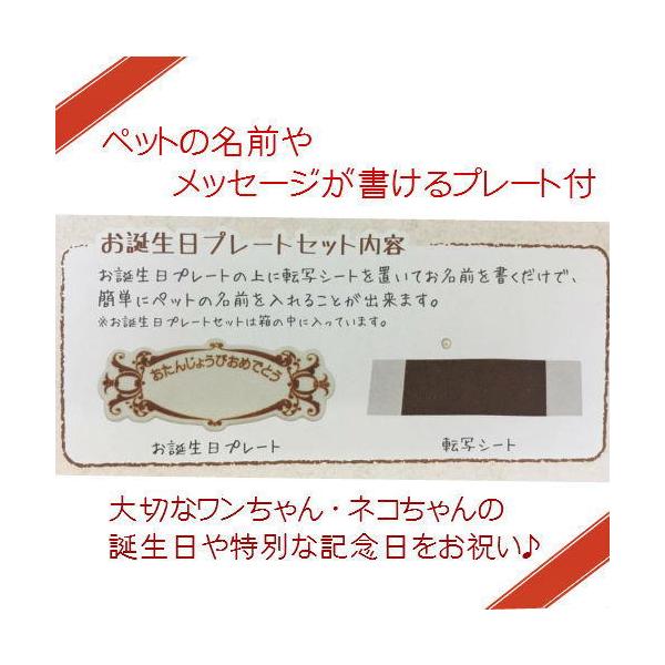 ねこ用お誕生日ケーキ カロリー控えめ 小麦粉アレルギーのネコちゃんも安心の米粉使用 ネコ 猫用バースデーケーキ Buyee Buyee Japanese Proxy Service Buy From Japan Bot Online