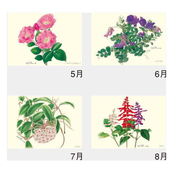 カレンダー 21年 花 壁掛け ボタニカルアート 佐々木正子作品集 カレンダー 21年 カレンダー 12カ月 花イラスト 令和3年 壁掛けカレンダー Buyee Buyee 提供一站式最全面最專業現地yahoo Japan拍賣代bid代拍代購服務 Bot Online