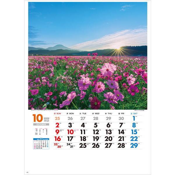 カレンダー 21 壁掛け 風景 大判サイズ 美しき日本 日本風景 21年カレンダー 令和3年 壁掛けカレンダー 12ヶ月 数字が見やすい 人気 Buyee Buyee Japanese Proxy Service Buy From Japan Bot Online