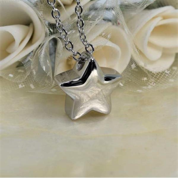 [Release date: April 7, 2021]愛する大切なペットちゃんの骨や毛、爪など（粉末状にしたものをお詰めください。）を納めて、いつも一緒に寄り添うことのできる遺骨ペンダントです。お詰めいただく部分の内径は、約4ｍｍと狭い...