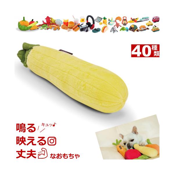 P. .A.Y. ガーデンフレッシュ ズッキーニ TC