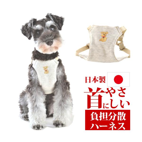 \tgn[lX Cn[lX rTCY 37`45cmΉ lR|X }֑I͕ʓrZ EH[n[gJpj[ WHCY