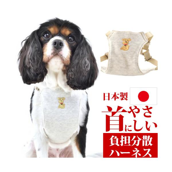 \tgn[lX Cn[lX MTCY 45`53cmΉ  lR|X }֑I͕ʓrZ EH[n[gJpj[ WHCY