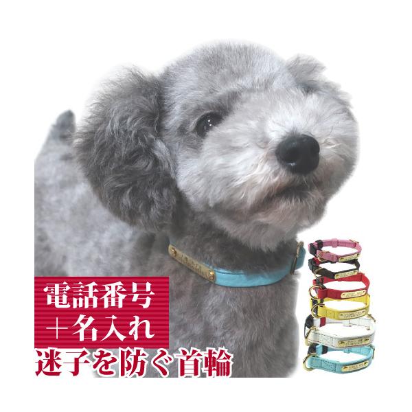 qD   O v obN WFgID J[ TCYSS 16-21cm OƘA(dbԍ)̃v[gŒ肵 Y {v p birdie