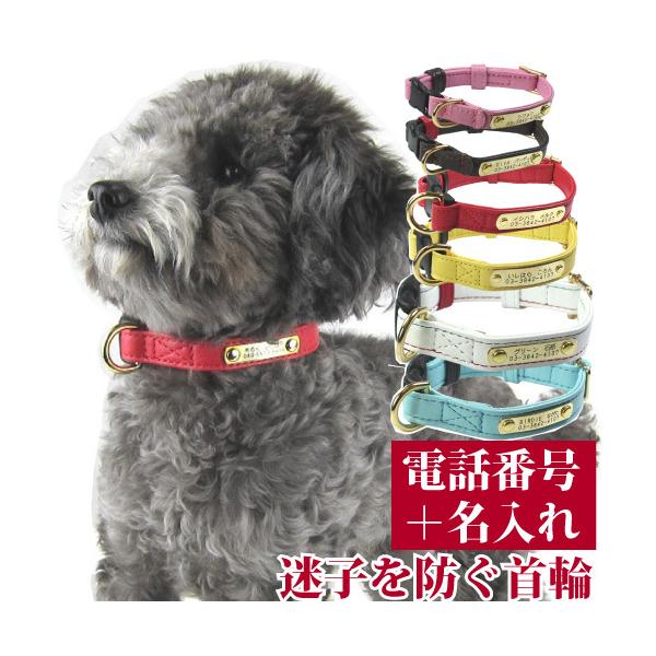 qD   O v obN WFgID J[ TCYS 20-24cm OƘA(dbԍ)̃v[gŒ肵 Y {v p birdie