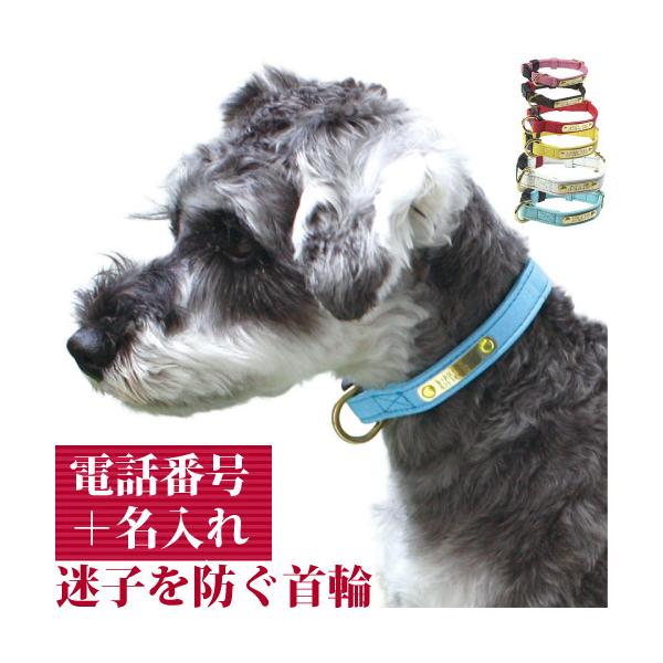 qD   O v obN WFgID J[ TCYM 28-38cm OƘA(dbԍ)̃v[gŒ肵 Y {v p birdie