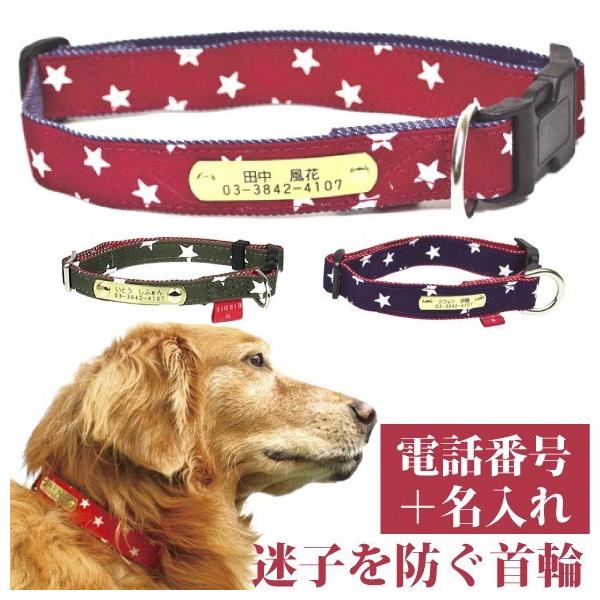 qD   O JWA 􂦂 X^[fjID J[ TCYL 37-54cm OƘA(dbԍ)̃v[gŒ肵 Y  p birdie