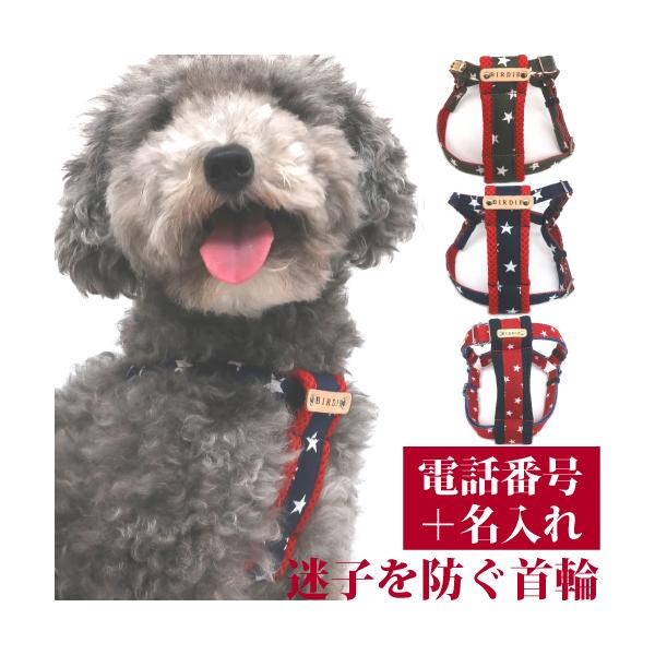 BIRDIE 迷子札 犬 首輪 名前入り カジュアル 洗える スター