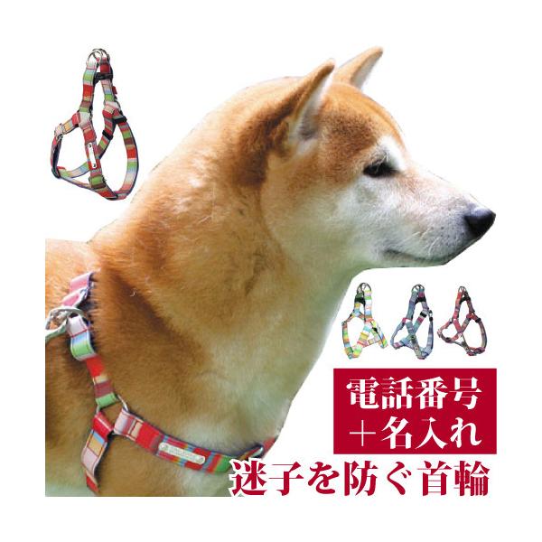 qD   O 킢 􂦂 }`{[_[ID n[lX TCYL 48-72cm OƘA(dbԍ)̃v[gŒ肵 Y p birdie