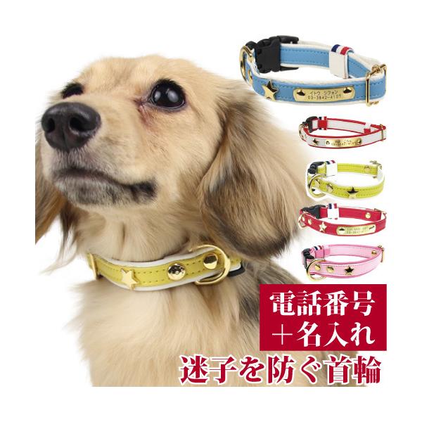 qD   O v obN X^[\tgU[ID J[ TCYM 30-42cm OƘA(dbԍ)̃v[gŒ肵 Y p birdie