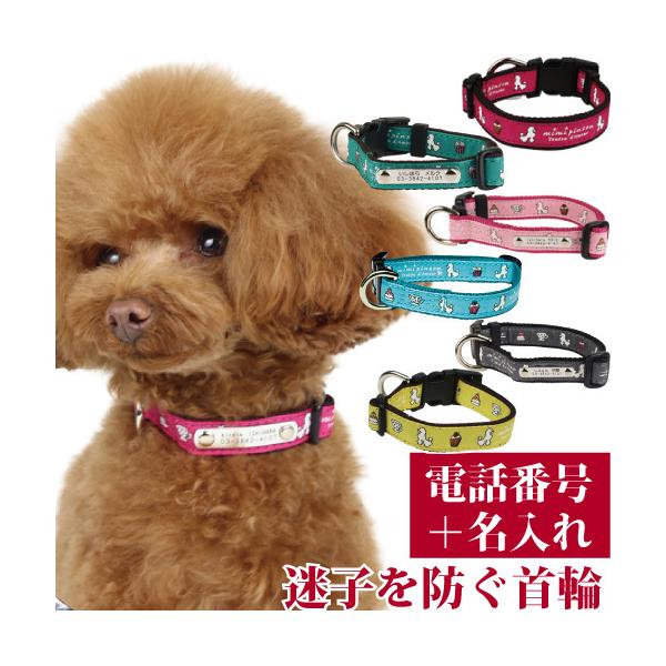 qD   O 킢 􂦂 eB[^Chc J[ TCYr 21-28cm OƘA(dbԍ)̃v[gŒ肵 Y p birdie