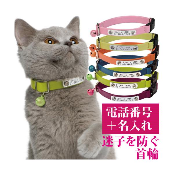 L  qD  O Lp BIRDIE CAT'ShcJ[ yTCY 18-27cmz O A dbԍ v[g Y  킢 q ˂ lR