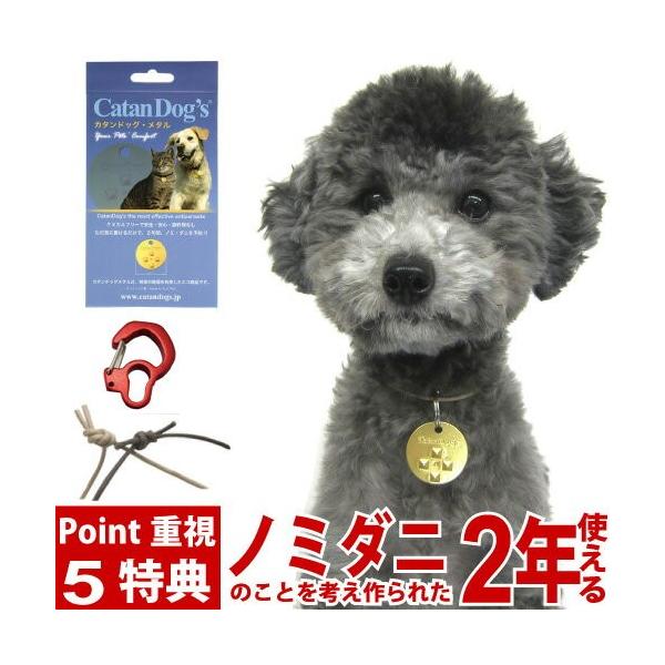 TTt J^hbO^ m~ _j l gɕt邾 񂵂T|[gt  L p m~_j Catan Dog's  CATANDOG'S