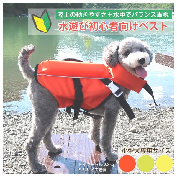 petnext_w1640021-