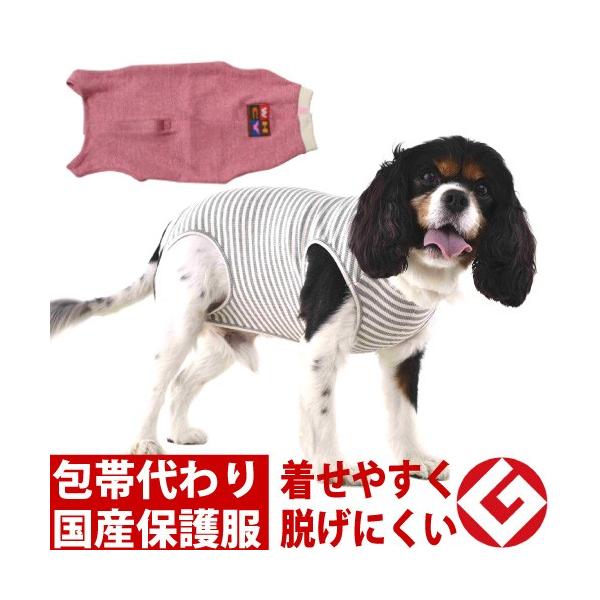  p㕞 GUxXJ[  ی앞 ^p Ts[XȂ^Cv R`STCY lR|X }֑I͕ʓrZ WHCY J Vv