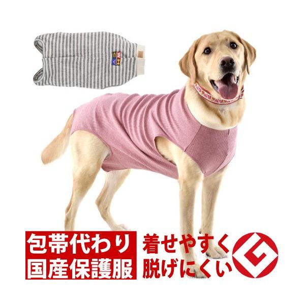  p㕞 GUxXJ[  ی앞 ^ Ts[XȂ^Cv POTCY lR|X }֑I͕ʓrZ  WHCY J Vv