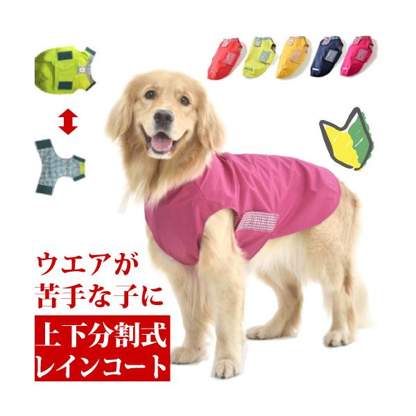   J CR[g ^ Jbp ₷ C[W[C kkTCY lR|X s S[fgo[ o[j[Y h[x}