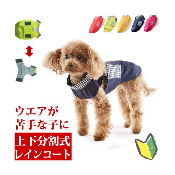   J CR[g ^ Jbp ₷ C[W[ C wrTCY lR|X  s ` gCv[h v[h [L[