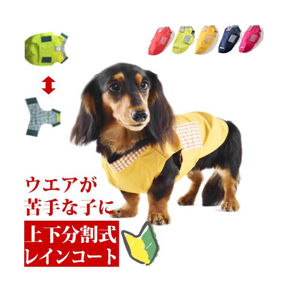   J CR[g ^ Jbp ₷ C[W[C rr|lTCY lR|X s _bNX V[Y[ ViEU[ LoA