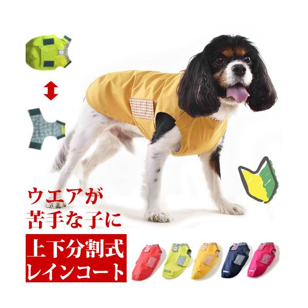   J CR[g ^ Jbp q ₷ C[W[C rTCY lR|X s Č ViEU[ LoA  WHCY